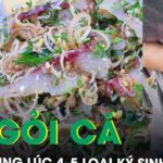 Mê gỏi cá, người đàn ông nhiễm cùng lúc 4–5 loại ký sinh trùng