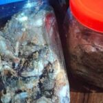 Nguy cơ ngộ độc Botulinum từ cá ủ chua: Khi món ăn truyền thống tiềm ẩn nguy cơ tử vong