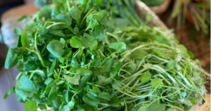 Loại rau từng bị coi như cỏ dại nhưng lại tốt cho gan