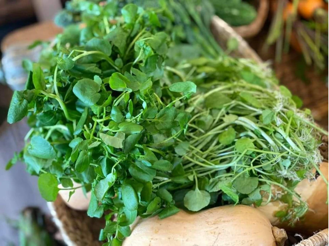 Loại rau từng bị coi như cỏ dại nhưng lại tốt cho gan- Ảnh 1.