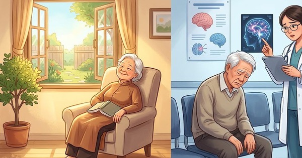 Người cao tuổi ngủ nhiều ban ngày có phải dấu hiệu bệnh não?