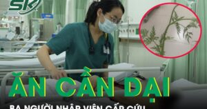 Ăn cần dại ba người nhập viện cấp cứu