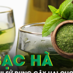 Sai lầm khi sử dụng lá bạc hà gây hại cho sức khỏe