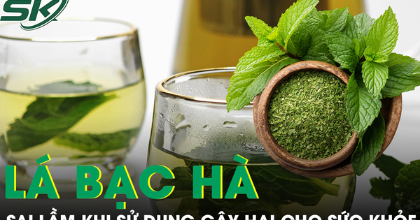 Sai lầm khi sử dụng lá bạc hà gây hại cho sức khỏe