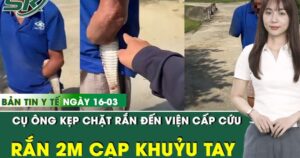 Bản Tin Y Tế 16/3: Cụ ông 79 tuổi đi cấp cứu với con rắn 2m cắn chặt vào khuỷu tay