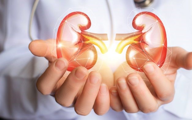 8 cách phòng ngừa bệnh thận mạn tính