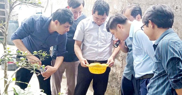 Siết chặt giám sát sốt xuất huyết tại Nghệ An trước mùa dịch