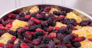 Dâu tằm ngâm nổi váng: Độc tố cần loại bỏ hay chỉ hớt váng là được?