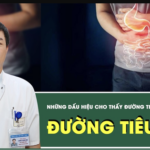 [LIVE] Những dấu hiệu cho thấy đường tiêu hóa có vấn đề