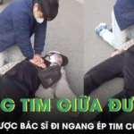 Ngừng tim giữa đường giờ cao điểm, nam thanh niên được bác sĩ đi ngang ép tim giành lại sự sống