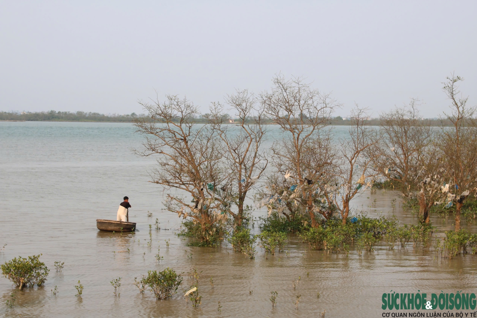 Rừng bần nguyên sinh ven sông Lam 'nghẹt thở' trong rác thải- Ảnh 12.