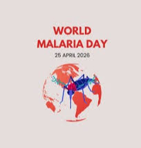 Loại trừ bệnh sốt rét: Đẩy mạnh phòng chống muỗi kháng thuốc, vaccine và biện pháp dự phòng mới- Ảnh 1.