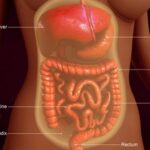 Ung thư phúc mạc phức tạp gia tăng, các chuyên gia hội tụ ở Singapore chia sẻ kinh nghiệm chẩn đoán, điều trị