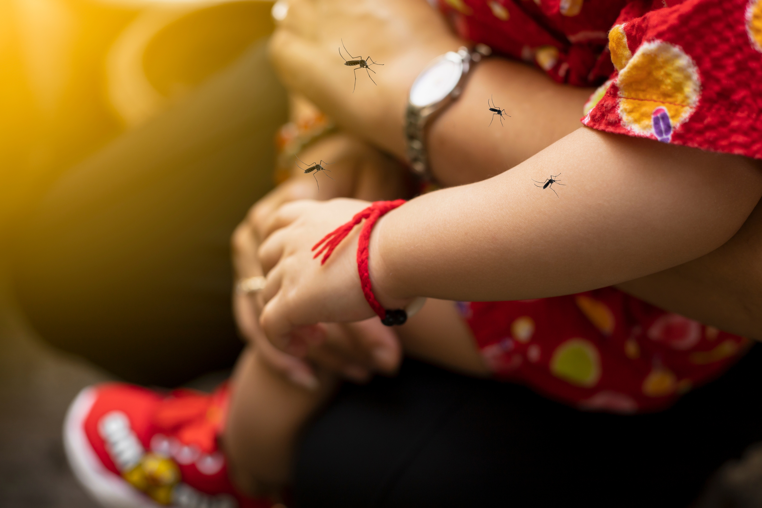 Sốt xuất huyết Dengue tại miền Trung - Tây Nguyên: Không chỉ mùa mưa, không chừa độ tuổi- Ảnh 1.