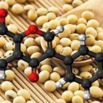 Isoflavone và hành trình trở thành lựa chọn của hàng triệu phụ nữ trong chăm sóc nội tiết tố