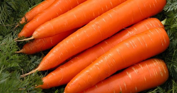 Duy trì thị lực khỏe mạnh với 6 loại thực phẩm giàu dưỡng chất cho mắt