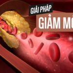 Thực phẩm tốt cho người mỡ máu cao