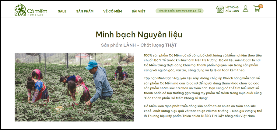 'Minh bạch' trở thành tiêu chuẩn mới của mỹ phẩm Việt Nam- Ảnh 2.