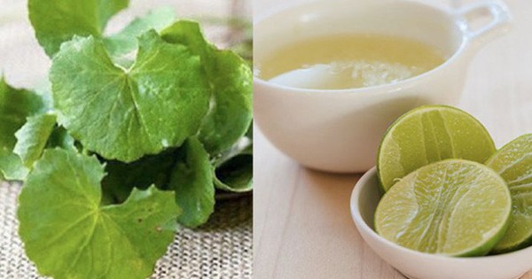 Mẹo chữa nám da từ rau má