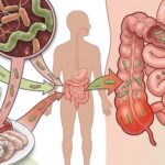 Dễ mắc nhiễm khuẩn đường ruột trong mùa hè từ thói quen ăn đồ sống