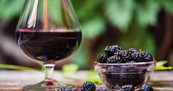 Bí quyết ngăn ngừa tóc bạc sớm từ quả dâu tằm