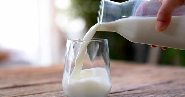 Uống nhiều sữa có tốt cho việc tăng cơ?