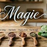 6 loại thực phẩm có hàm lượng magie cao hơn hạt điều