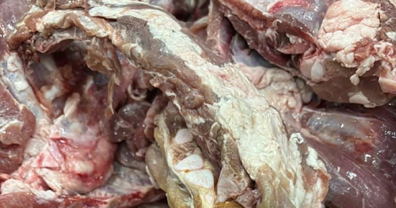 Thịt lợn bệnh tuồn vào bếp ăn trường học là tội ác không thể dung thứ- Ảnh 1.