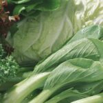 Top 5 loại rau xanh giàu canxi hơn sữa: Giải pháp tự nhiên cho xương chắc khỏe