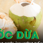 Uống nước dừa thường xuyên có gây hại cho thận?