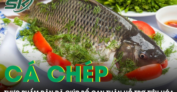 Thực phẩm dân dã giúp bổ gan thận hỗ trợ tiêu hóa
