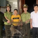 Người dân tự nguyện giao nộp 2 cá thể động vật quý hiếm
