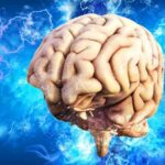 Công nghệ AI giúp cứu sống hàng triệu tế bào não cho bệnh nhân đột quỵ