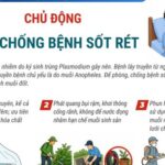 Ngày Thế giới phòng, chống sốt rét 25/4/2026: Chủ động phòng, chống bệnh sốt rét
