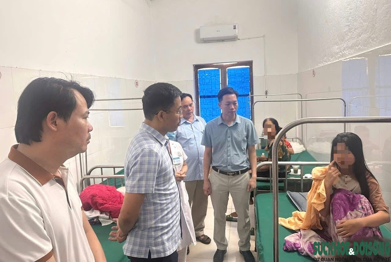 Phát hiện vi khuẩn Salmonella trong bánh mì gây ra vụ ngộ độc ở Nghệ An- Ảnh 1. Phát hiện vi khuẩn Salmonella trong bánh mì gây ra vụ ngộ độc ở Nghệ An- Ảnh 1.