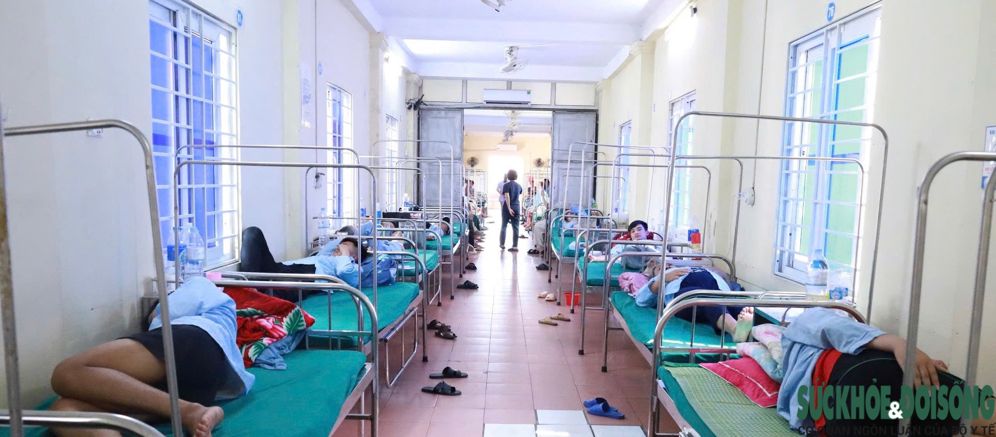 Phát hiện vi khuẩn Salmonella trong bánh mì gây ra vụ ngộ độc ở Nghệ An- Ảnh 2. Phát hiện vi khuẩn Salmonella trong bánh mì gây ra vụ ngộ độc ở Nghệ An- Ảnh 2.