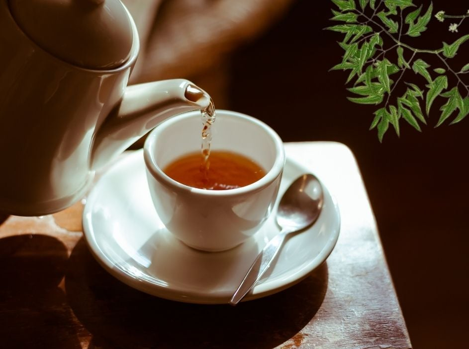 Uống lá đinh lăng hàng ngày có tốt không?- Ảnh 2. Uống lá đinh lăng hàng ngày có tốt không?- Ảnh 2.