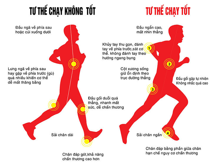 Chạy bền có giúp đốt cháy mỡ thừa nhanh hơn bài tập cường độ cao?- Ảnh 1. Chạy bền có giúp đốt cháy mỡ thừa nhanh hơn bài tập cường độ cao?- Ảnh 1.