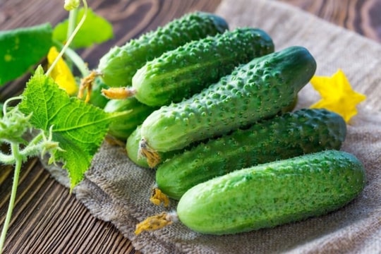 Ăn dưa chuột bị đắng có nguy hiểm không? Cách chọn dưa chuột không lo độc tố- Ảnh 1. Ăn dưa chuột bị đắng có nguy hiểm không? Cách chọn dưa chuột không lo độc tố- Ảnh 1.