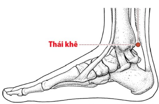 5 huyệt đạo giúp giảm chóng mặt, ù tai- Ảnh 3. 5 huyệt đạo giúp giảm chóng mặt, ù tai- Ảnh 3.