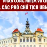 [Infographic] Phân công nhiệm vụ Chủ tịch và các Phó Chủ tịch UBND TPHCM nhiệm kỳ mới
