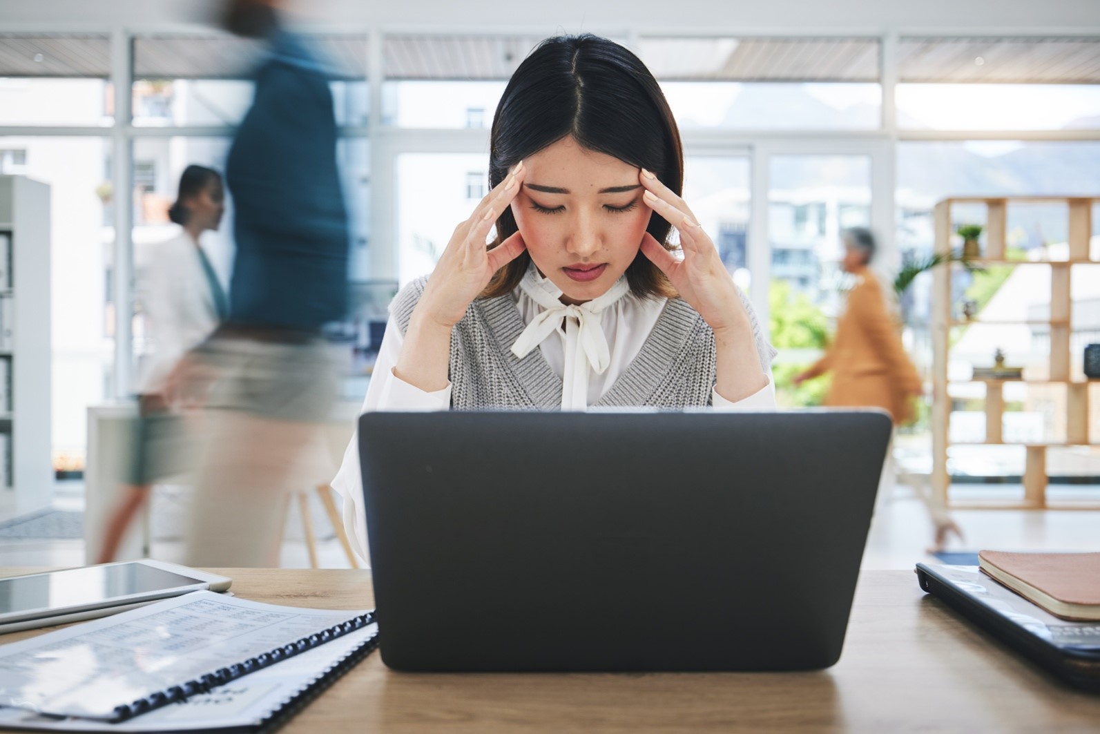 Vì sao mùa hè dễ khiến cơ thể mệt mỏi hơn?- Ảnh 3. Vì sao mùa hè dễ khiến cơ thể mệt mỏi hơn?- Ảnh 3.