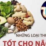 Các chất bổ sung cải thiện trí nhớ trong mùa thi: Hiểu đúng để dùng hiệu quả