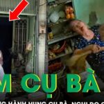 Công an vào cuộc vụ người đàn ông xông vào nhà đấm cụ bà 68 tuổi, nghi do chó phóng uế ở TP.HCM