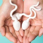 Số lượng tinh trùng của nam giới bao nhiêu là ít?
