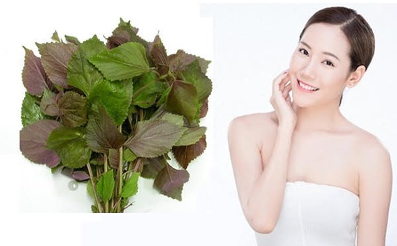 4 cách nấu nước lá tía tô hỗ trợ giảm cân, đẹp da và tốt cho sức khỏe- Ảnh 1. 4 cách nấu nước lá tía tô hỗ trợ giảm cân, đẹp da và tốt cho sức khỏe- Ảnh 1.