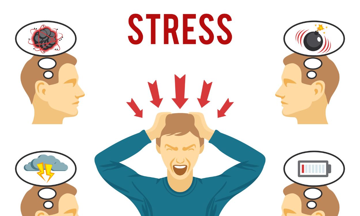 Sống 'an yên’: Cách hỗ trợ kiểm soát cortisol và bảo vệ sức khỏe- Ảnh 1. Sống 'an yên’: Cách hỗ trợ kiểm soát cortisol và bảo vệ sức khỏe- Ảnh 1.