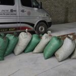 Buôn bán gần 900kg vảy tê tê cực kỳ quý hiếm, lĩnh án 8 năm tù