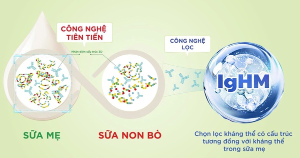 IgHM – hướng tiếp cận mới trong dinh dưỡng miễn dịch