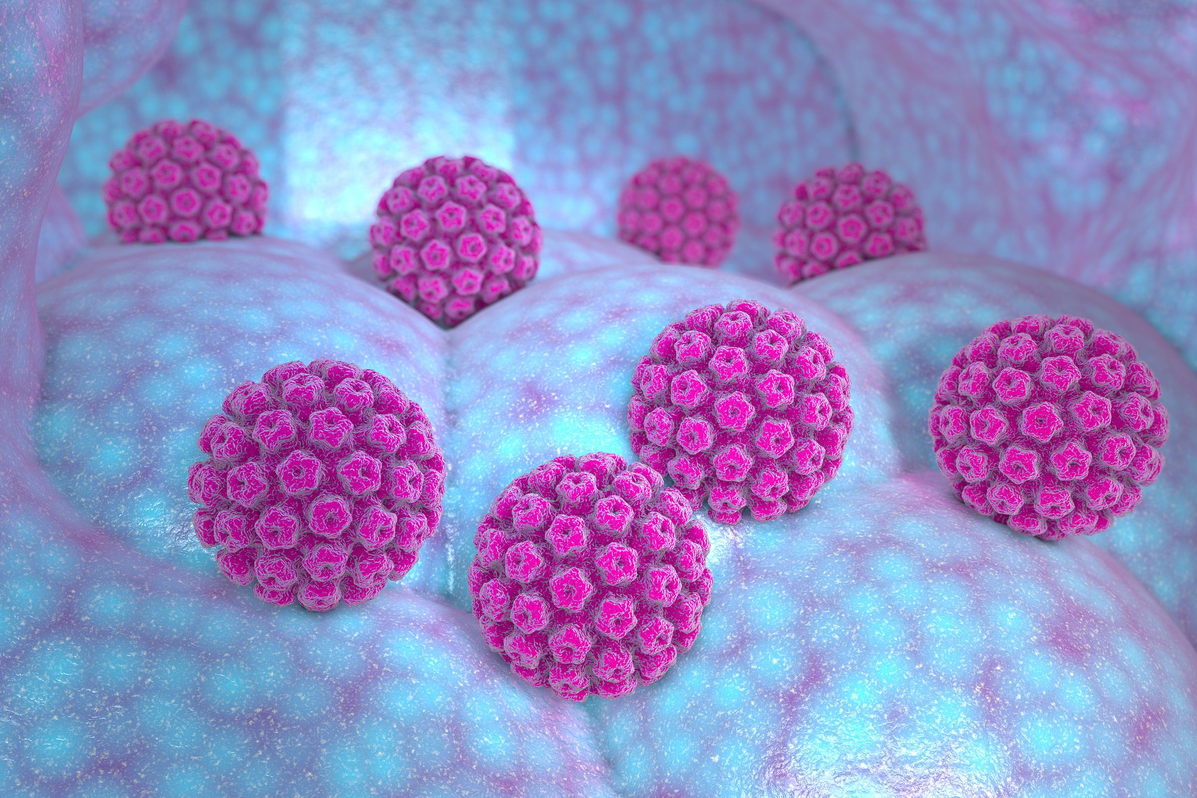 Vaccine HPV lần đầu vào tiêm chủng bắt buộc: Ai sẽ được tiêm miễn phí từ 1/7/2026?- Ảnh 1.